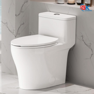 Bồn cầu khối cao cấp